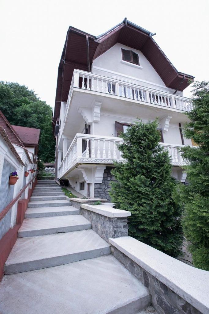 Vila Zeno Braşov Exterior foto